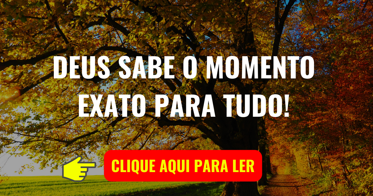 DEUS SABE O MOMENTO EXATO PARA TUDO!