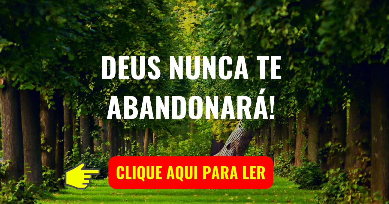 DEUS NUNCA TE ABANDONARÁ!