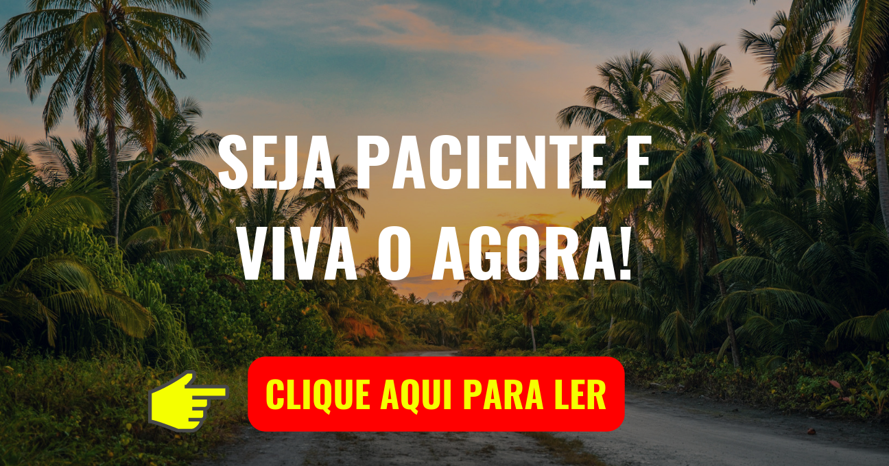 SEJA PACIENTE E VIVA O AGORA!