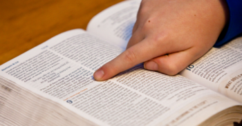 A Bíblia Sagrada online para ler – Confira como instalar o app